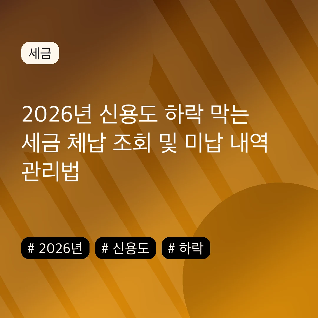 2026년 신용도 하락 막는 세금 체납 조회 및 미납 내역 관리법
